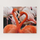 Search for flamingo puzzles Nature