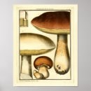 Search for edible posters Illustration