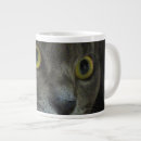 Search for golden eyes mugs Feline