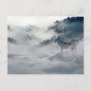 Search for arctic wolves Grey