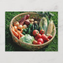 Search for containerful postcards Freshness