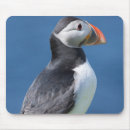 Search for auk electronics Animal