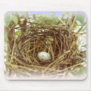 Search for bird egg mousepads Nests