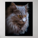 Search for russian blue cat art Kitty