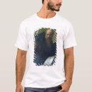 Search for 356 Pontormo