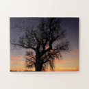 Search for silhouette puzzles Colourful