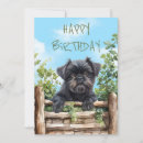 Search for affenpinscher cards Cute