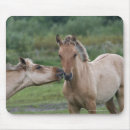 Search for wild west mousepads Horses