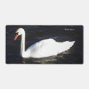 Search for mute swan electronics Animal