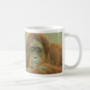 Search for ape drinkware Great apes