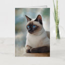 Search for siamese cat art cards Animal