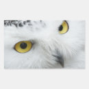 Search for owls eyes stickers Animals