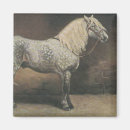 Search for dappled magnets Equine