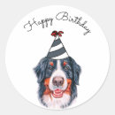 Search for bernese mountain dog stickers Birthday
