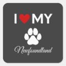 Search for newfoundland dog stickers Pets