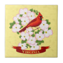 Search for state bird Virginia