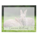Search for bunny rabbit notepads Nature