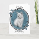 Search for rag doll cards Kitten