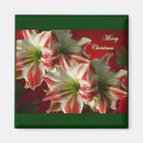 Search for christmas stamps magnets Flower