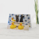 Search for black cat get well cards Pet