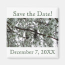 Search for snow cone invitations Pine
