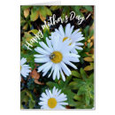 Search for daisy mothers day cards Floral