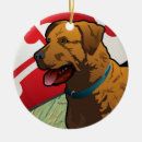 Search for chesapeake bay christmas tree decorations Retriever