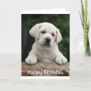 Search for laboratory birthday cards Hound