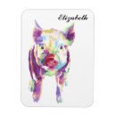 Search for pop animal magnets Abstract