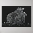 Search for black and white bear posters Bears