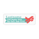 Search for biplane return address labels Aeroplane