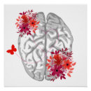 Search for brain anatomy posters Anatomical
