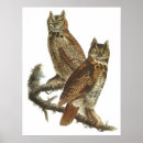 Search for great grey owl art Owls