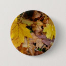Search for fallen badges Autumn