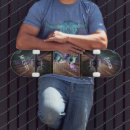 Search for unique skateboards Animal