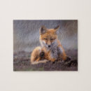 Search for red fox puzzles Baby