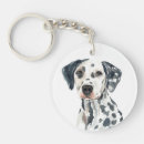 Search for dalmatian key rings Animal