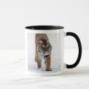 Search for siberian tiger mugs Animals in the wild