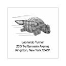 Search for turtle postage Turtles