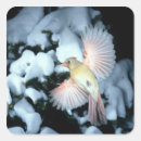 Search for cardinal in the snow stickers Tree