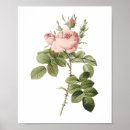 Search for perfume posters Bouquet