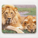 Search for pantera Pair