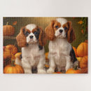 Search for cavalier king charles puzzles Animal