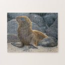 Search for galapagos puzzles Superstock