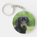 Search for smooth key rings Headshot