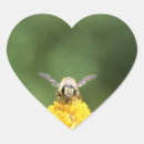 Search for macro stickers Insect