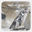 Search for cool penguin stickers Cute