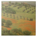 Search for tuscany tiles Europe