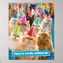 Search for cat paintings posters Birthday