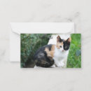 Search for funny horizontal note cards Pet
